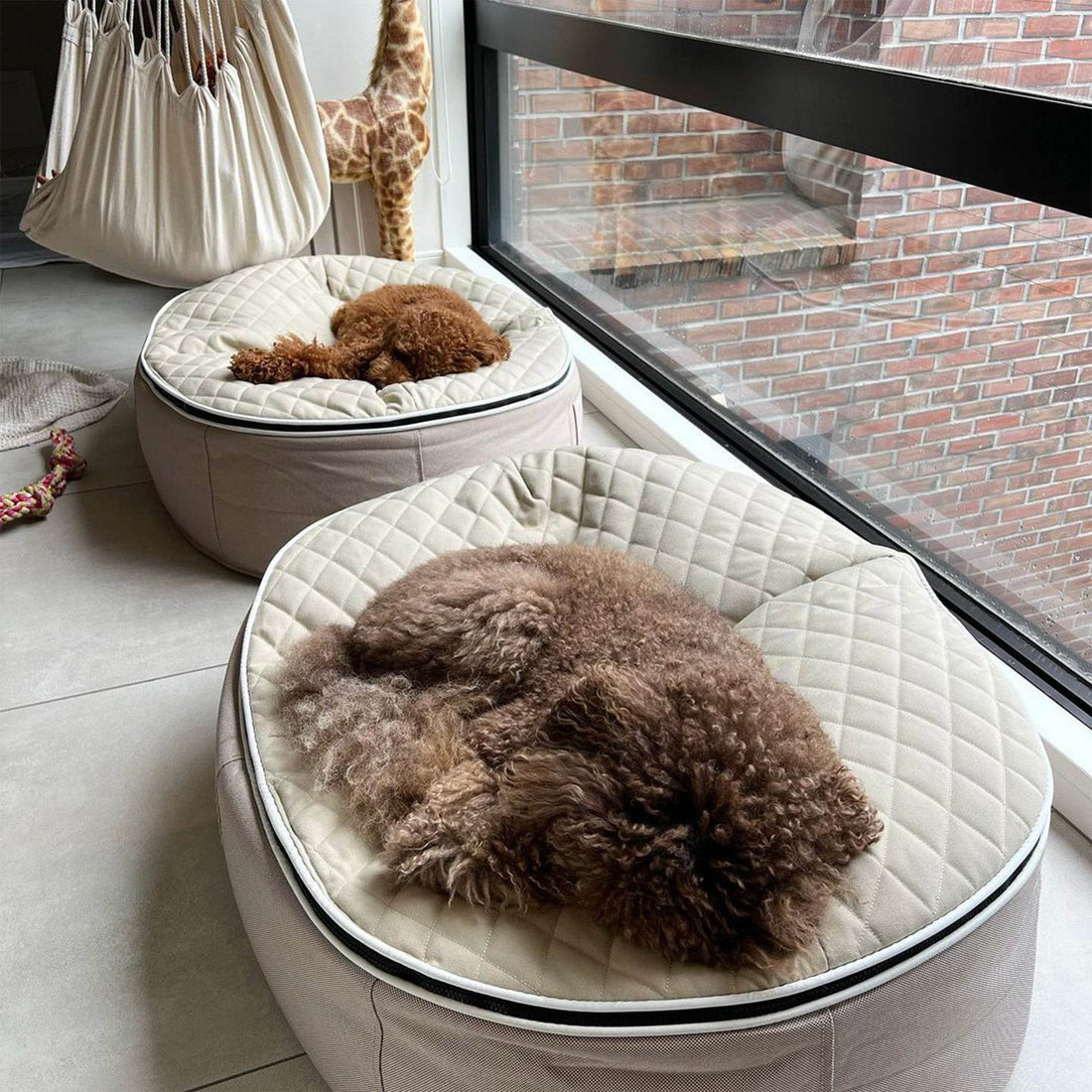 The Science of Dog Comfort: How to Choose the Best Luxury Bed for Your Pet