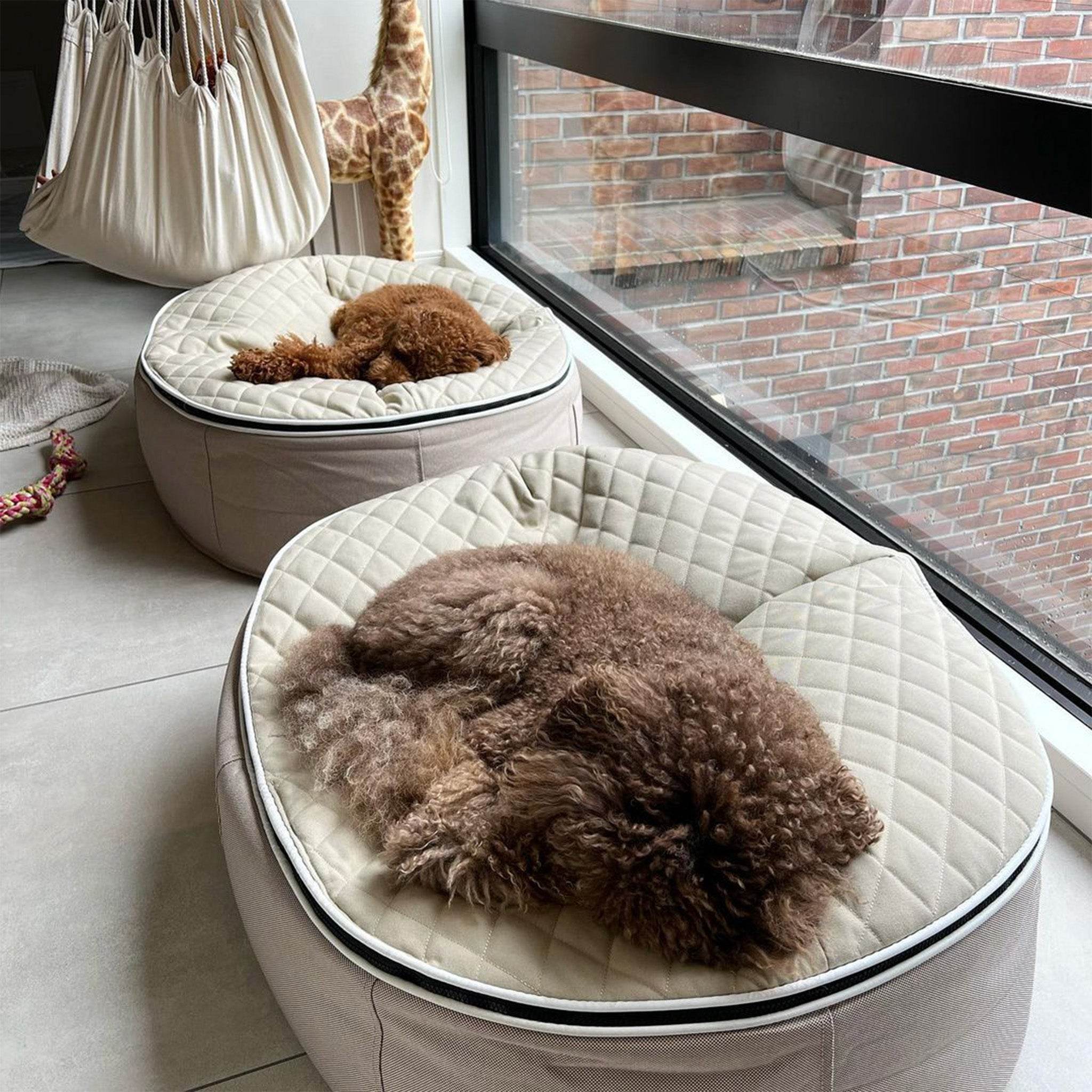 The Science of Dog Comfort: How to Choose the Best Luxury Bed for Your Pet
