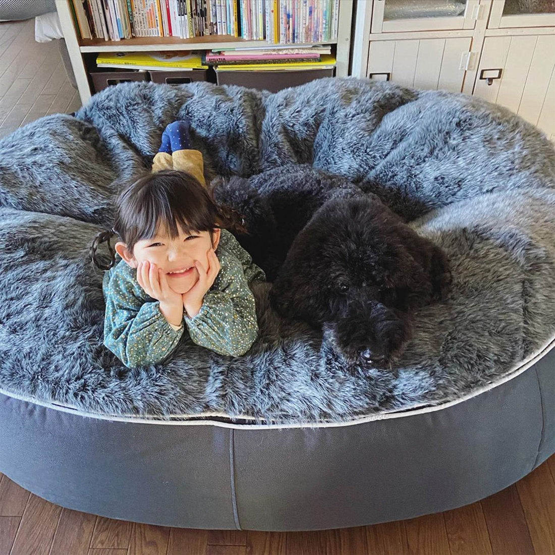 Pet-Friendly Homes: Designing Spaces That Work for Humans and Dogs
