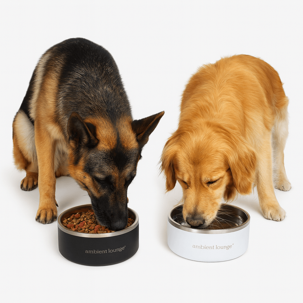 2L Double-Wall Stainless Steel Food & Water Dog Bowl (Set of 2)
