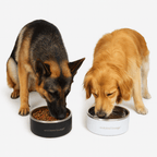 2L Double-Wall Stainless Steel Food & Water Dog Bowl (Set of 2)