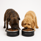 1L Double-Wall Stainless Steel Food & Water Dog Bowl (Set of 2)