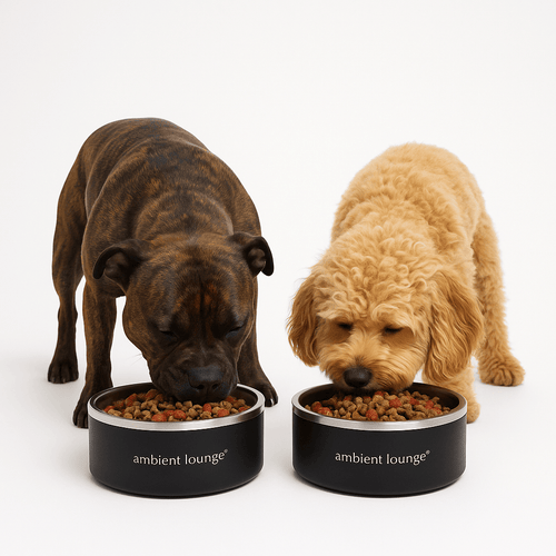 1L Double-Wall Stainless Steel Food & Water Dog Bowl (Set of 2)
