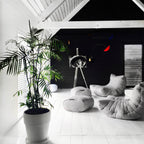 Acoustic Sofa - Interior