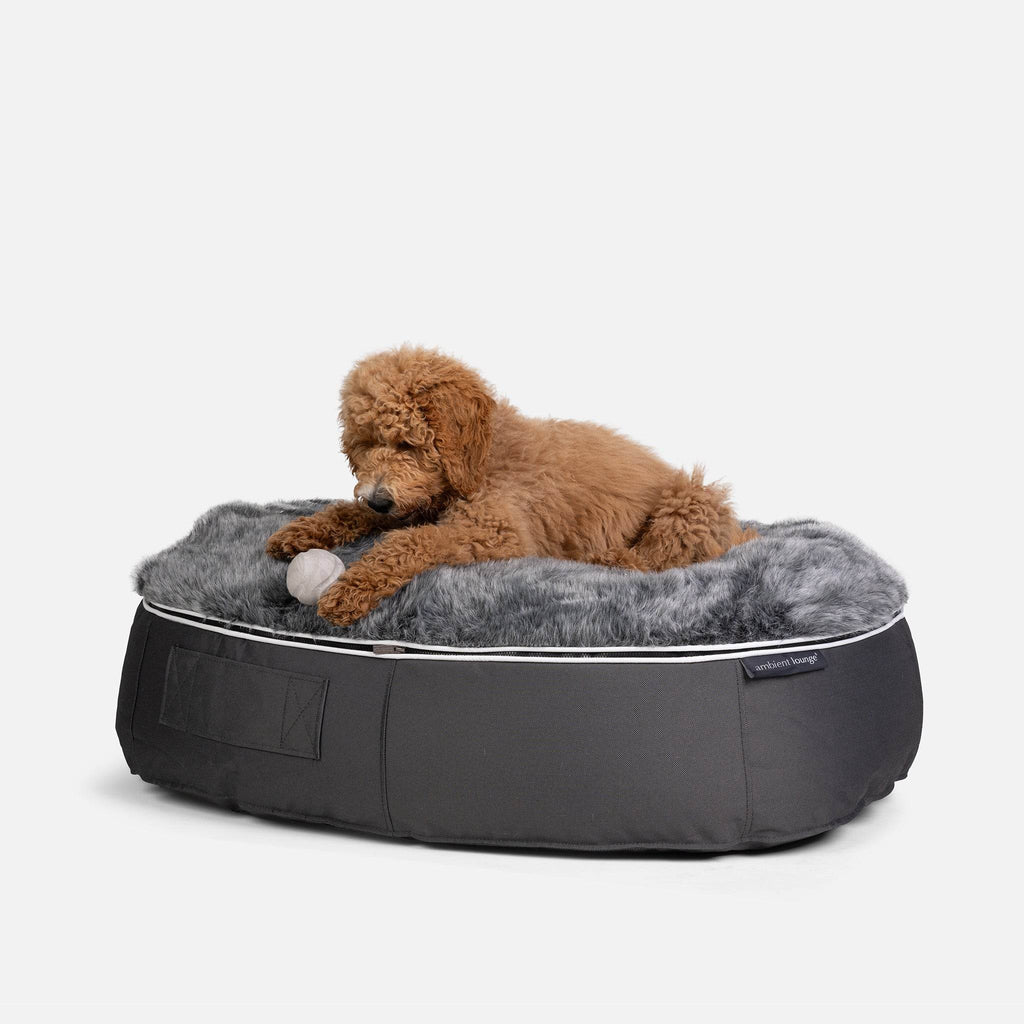 Chew Play Ball Training Toy