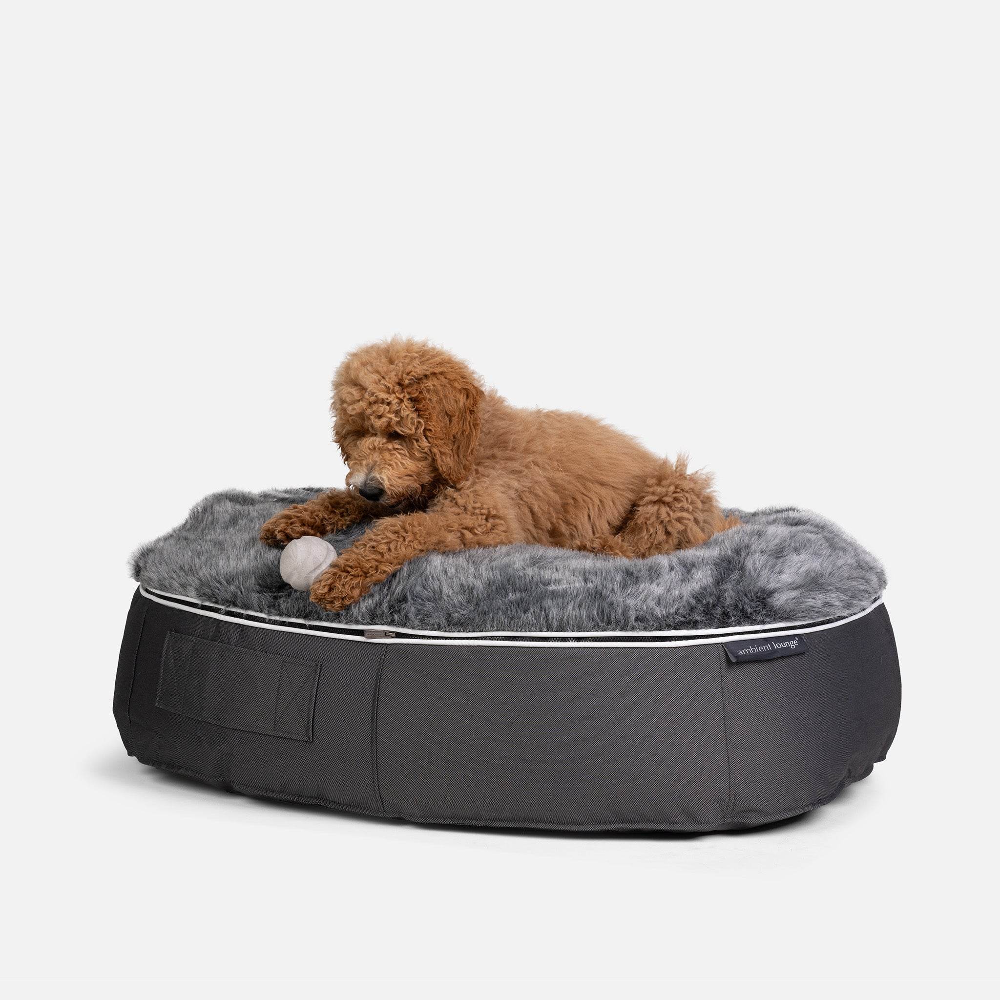 Chew Play Ball Training Toy