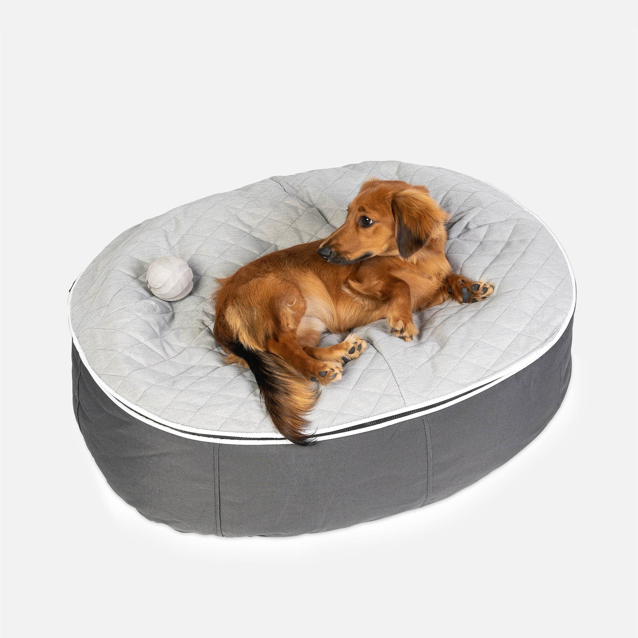Chew Play Ball Training Toy