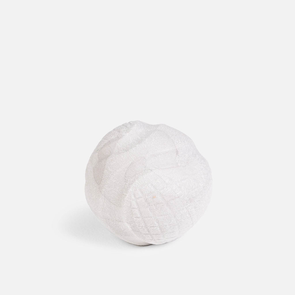 Chew Play Ball Training Toy