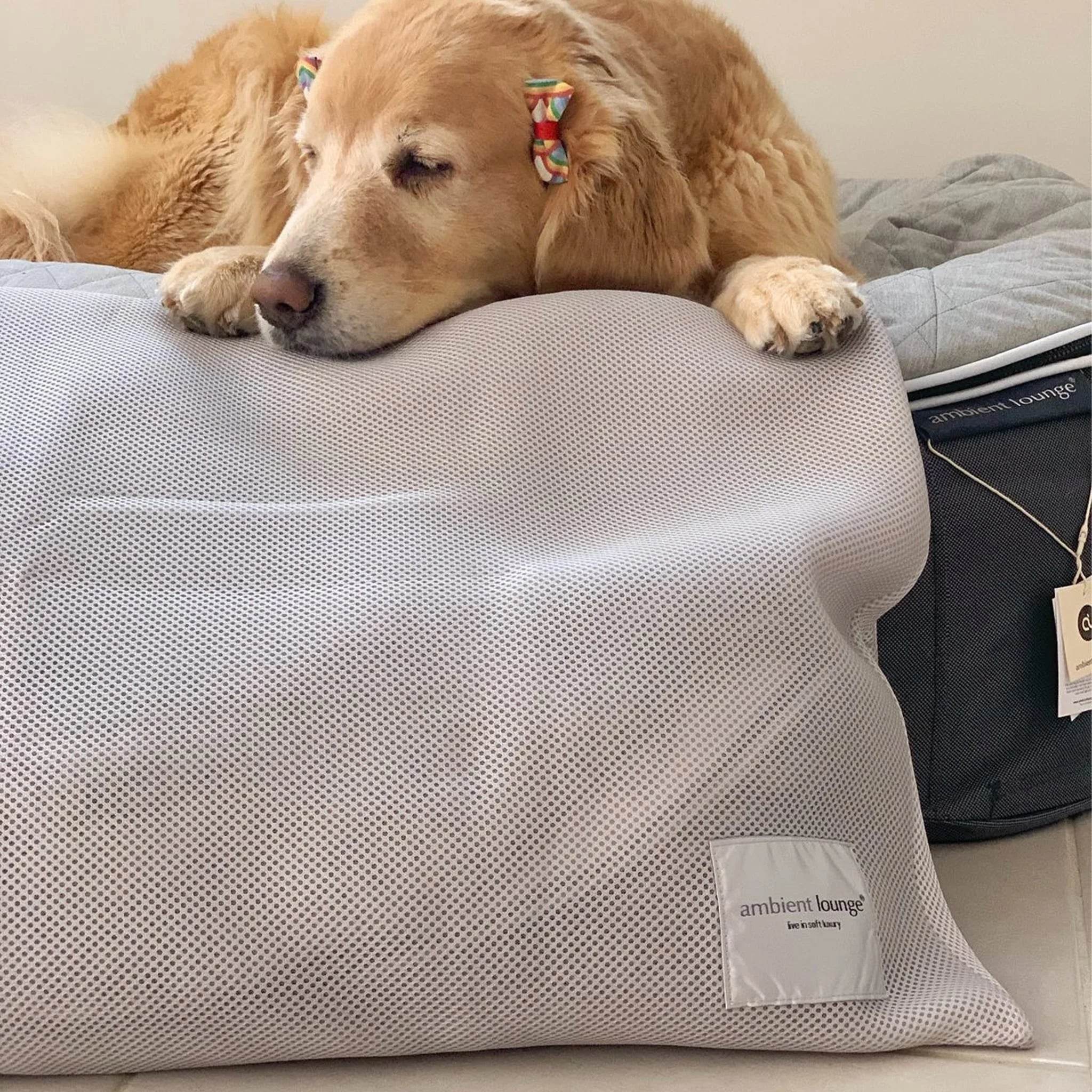 Laundry Bag