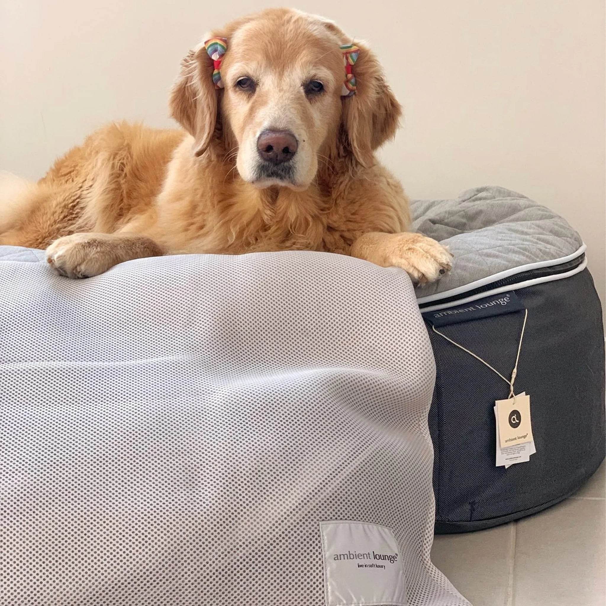 Laundry Bag