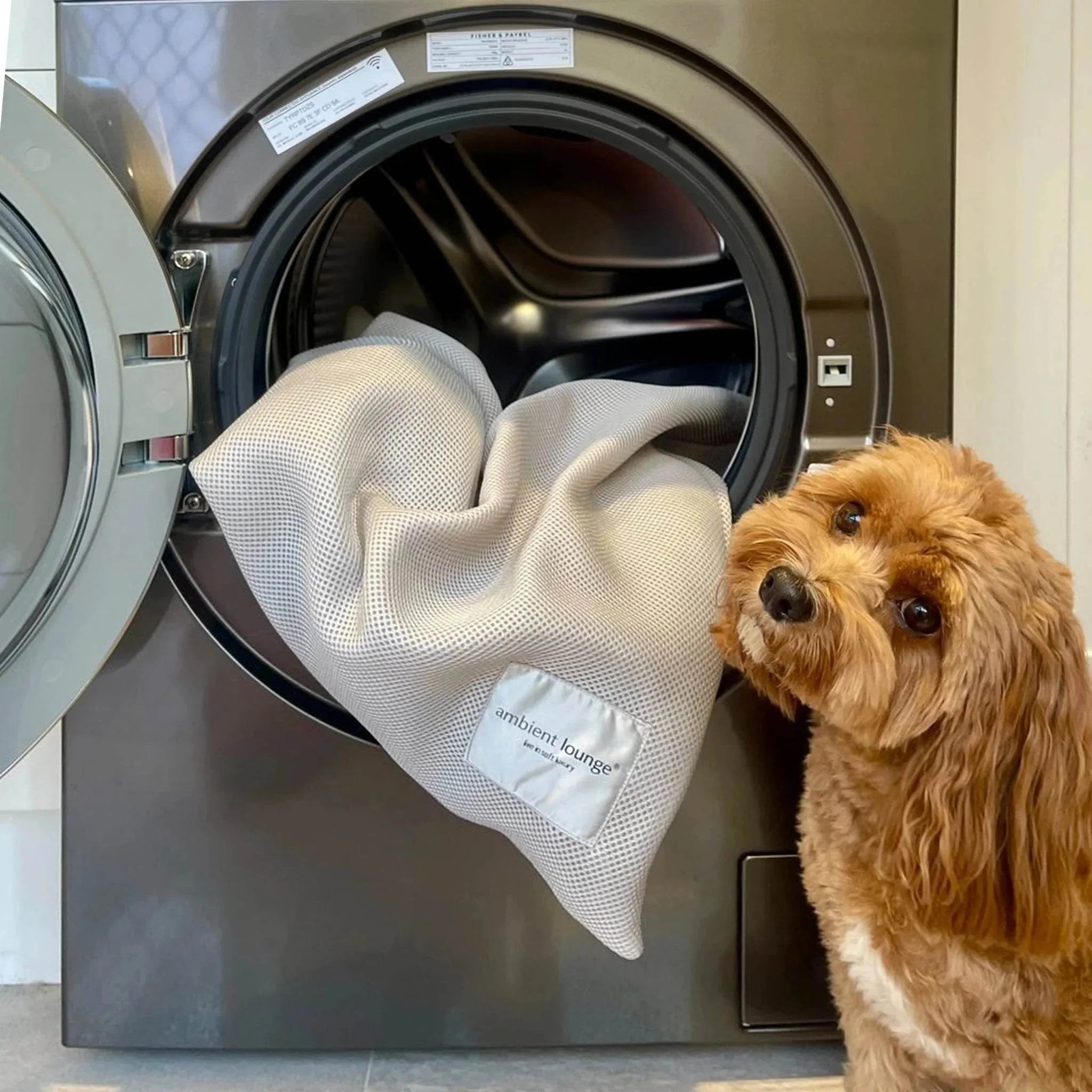 Laundry Bag
