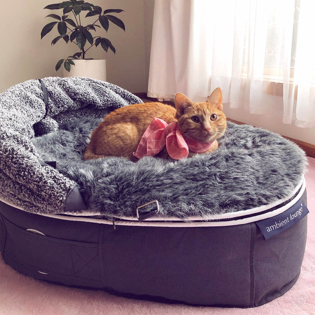 Cat Bed with Hoodie