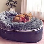 Cat Bed with Hoodie
