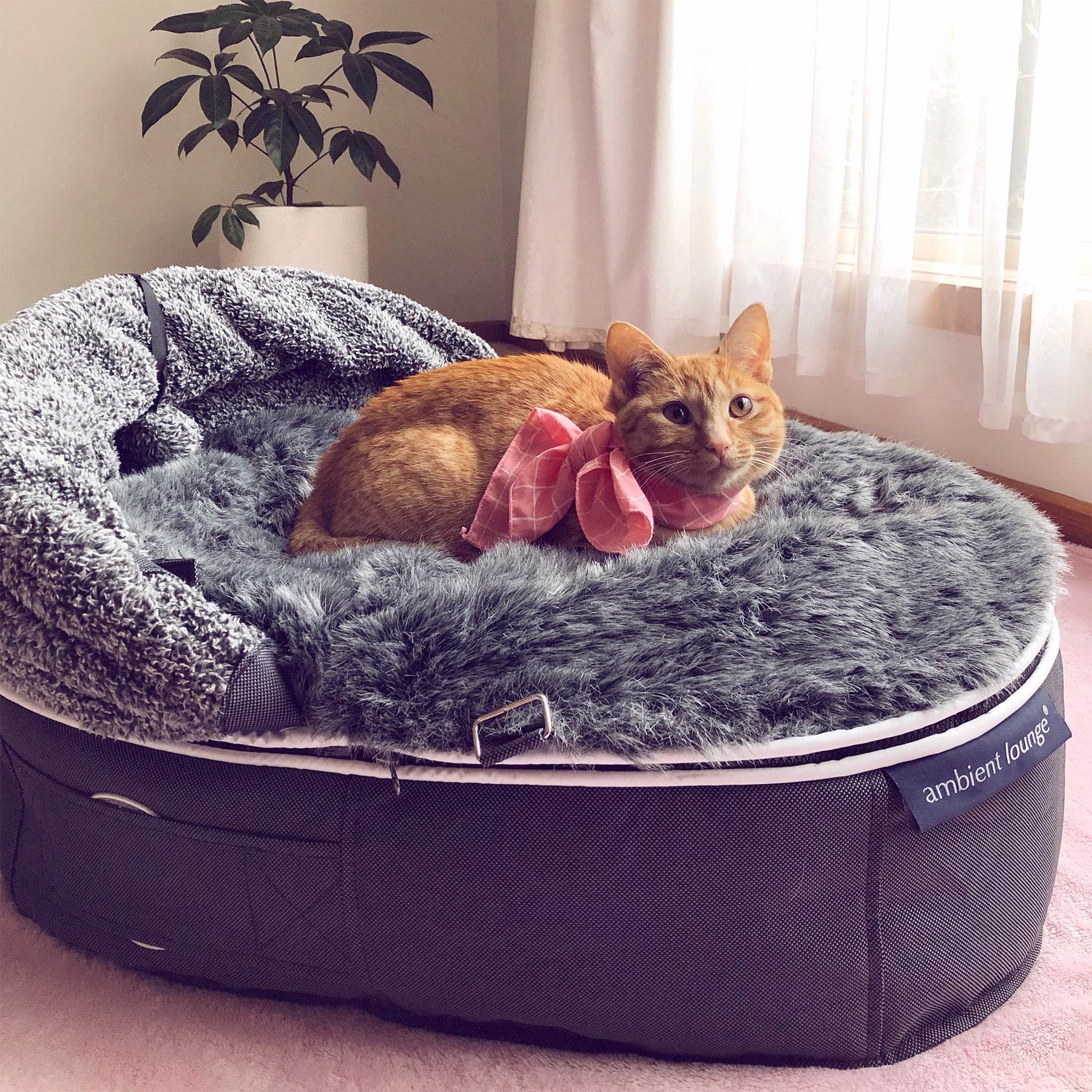 Cat Bed with Hoodie