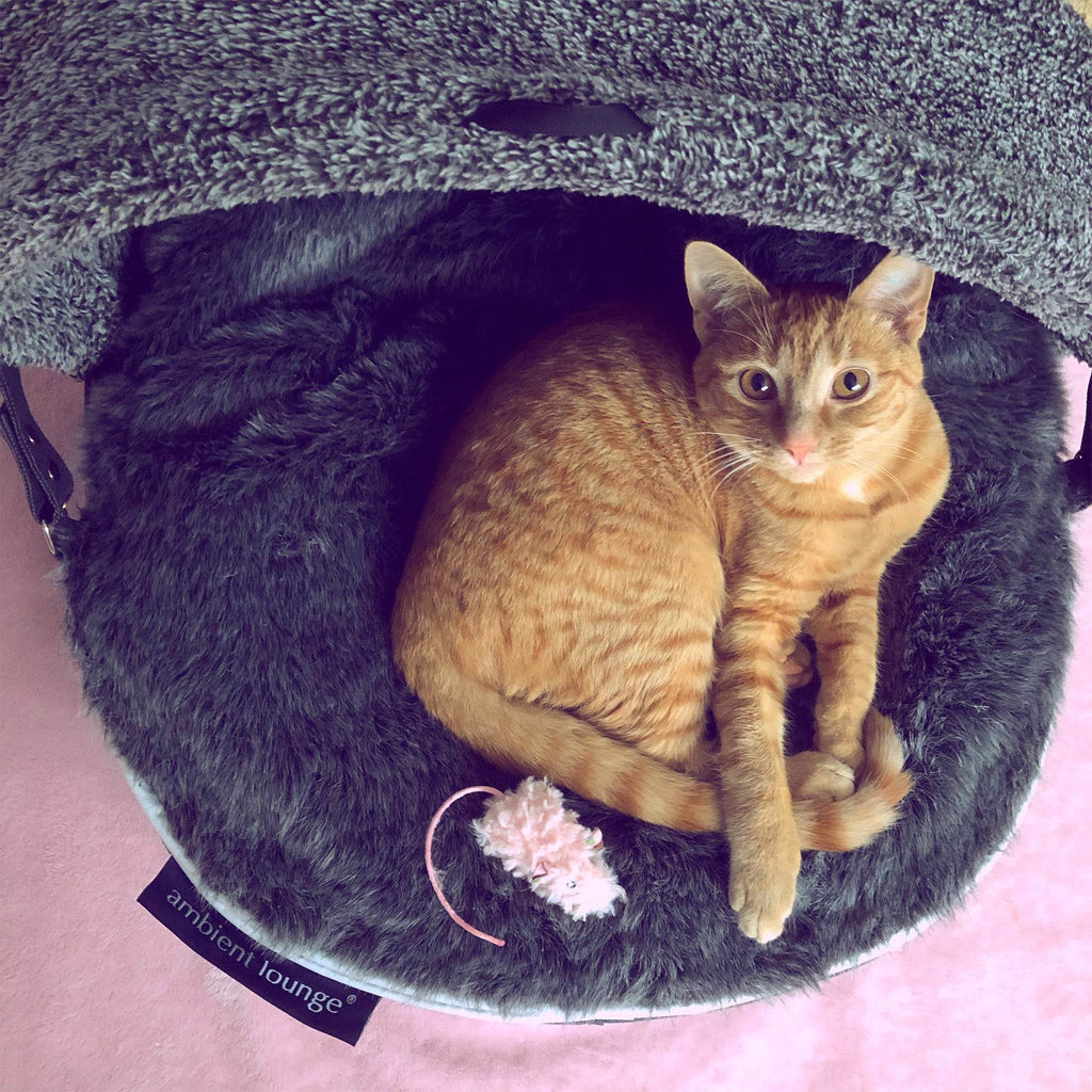 Cat Bed with Hoodie