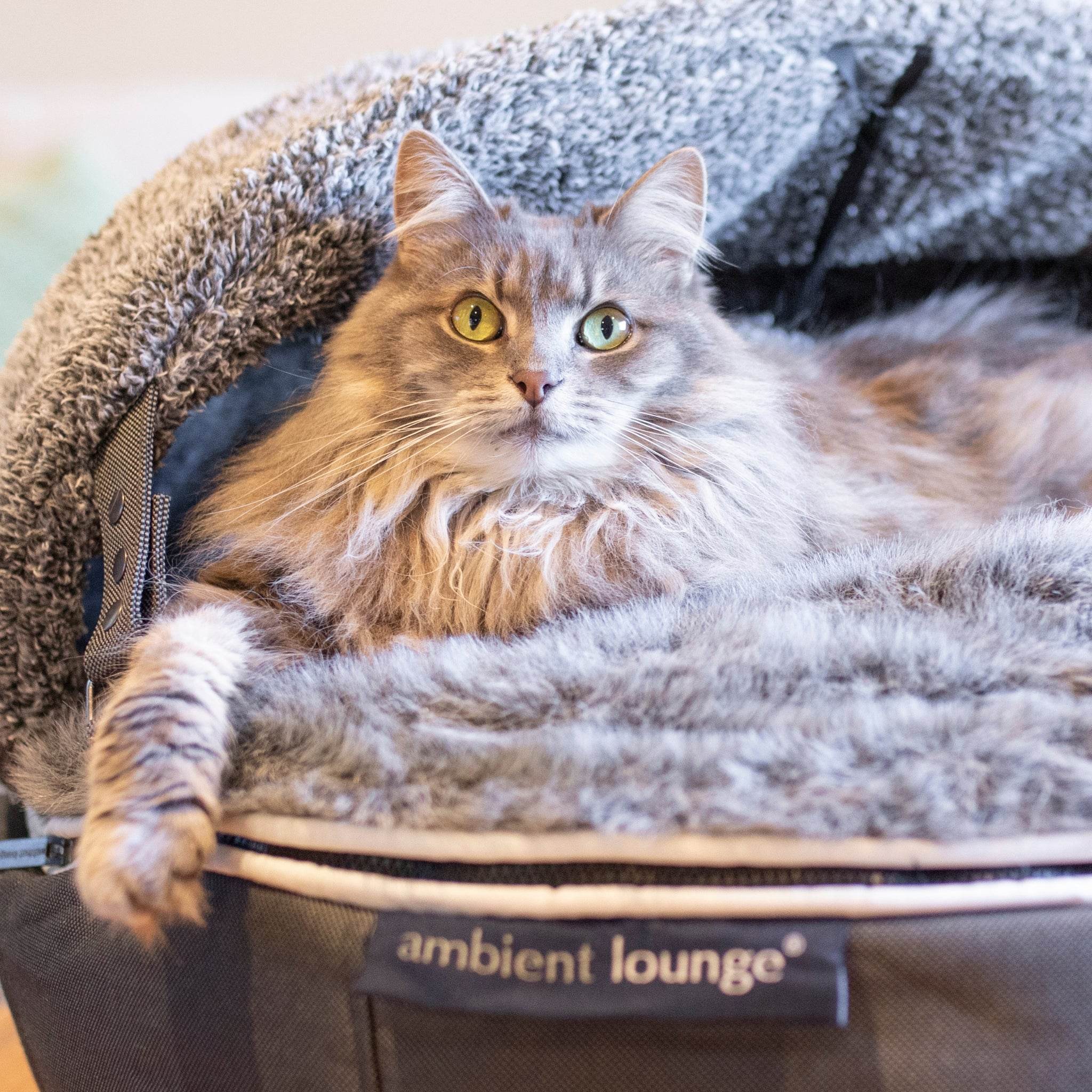 Cat Bed with Hoodie