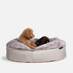 Large Luxury Dog Bed - Interior/Outdoor