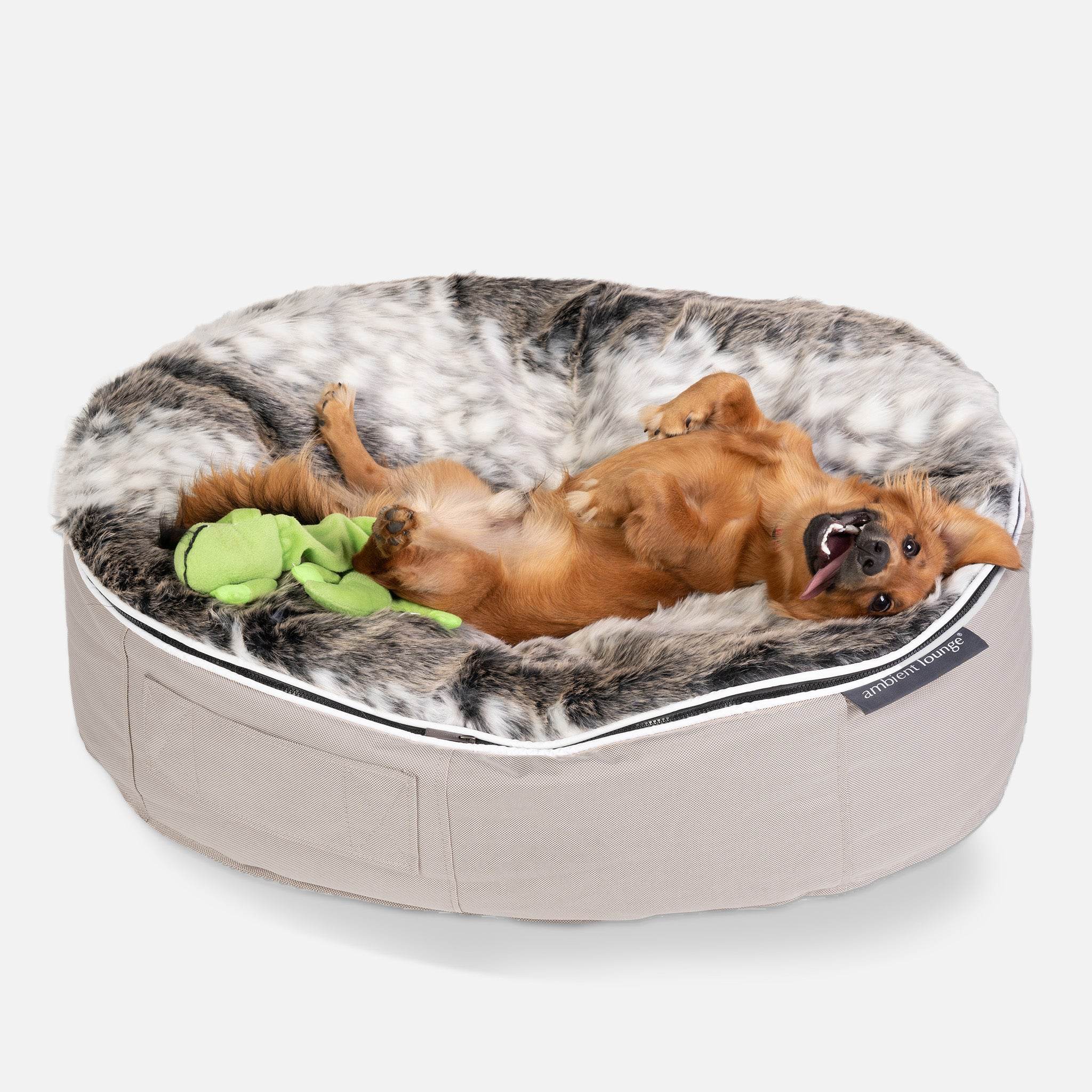 Medium Luxury Dog Bed - Interior/Outdoor