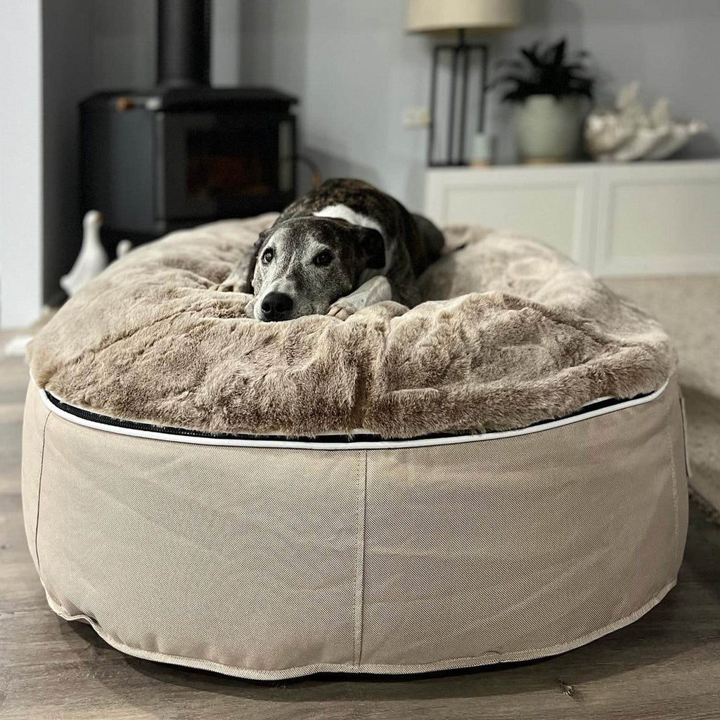 Medium Luxury Dog Bed - Interior/Outdoor