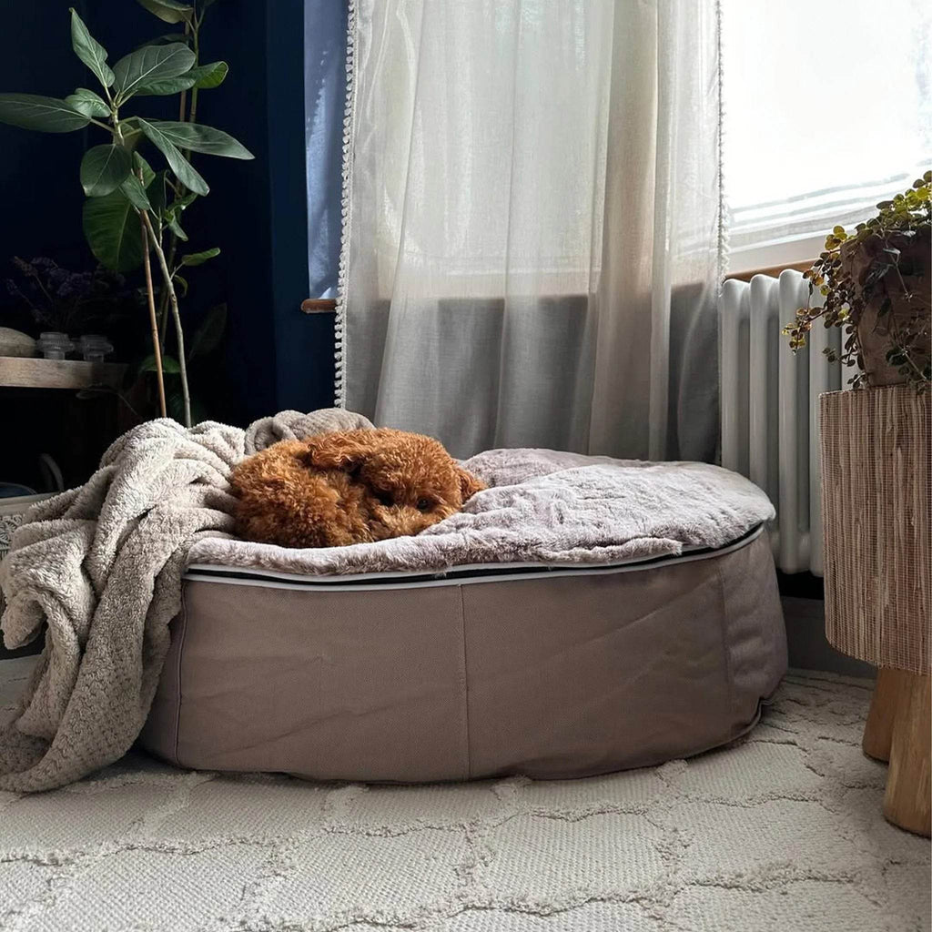 Medium Luxury Dog Bed - Interior/Outdoor