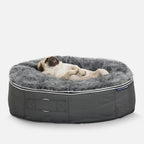 Medium Luxury Dog Bed - Interior/Outdoor