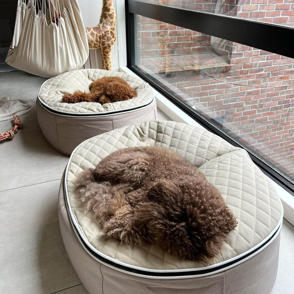 Medium Luxury Dog Bed - Interior/Outdoor