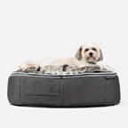 Medium Luxury Dog Bed - Interior/Outdoor