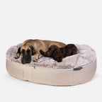 XXL Luxury Dog Bed - Interior/Outdoor