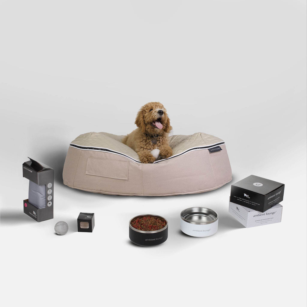Large Dog Essentials Pack