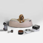 Large Dog Essentials Pack