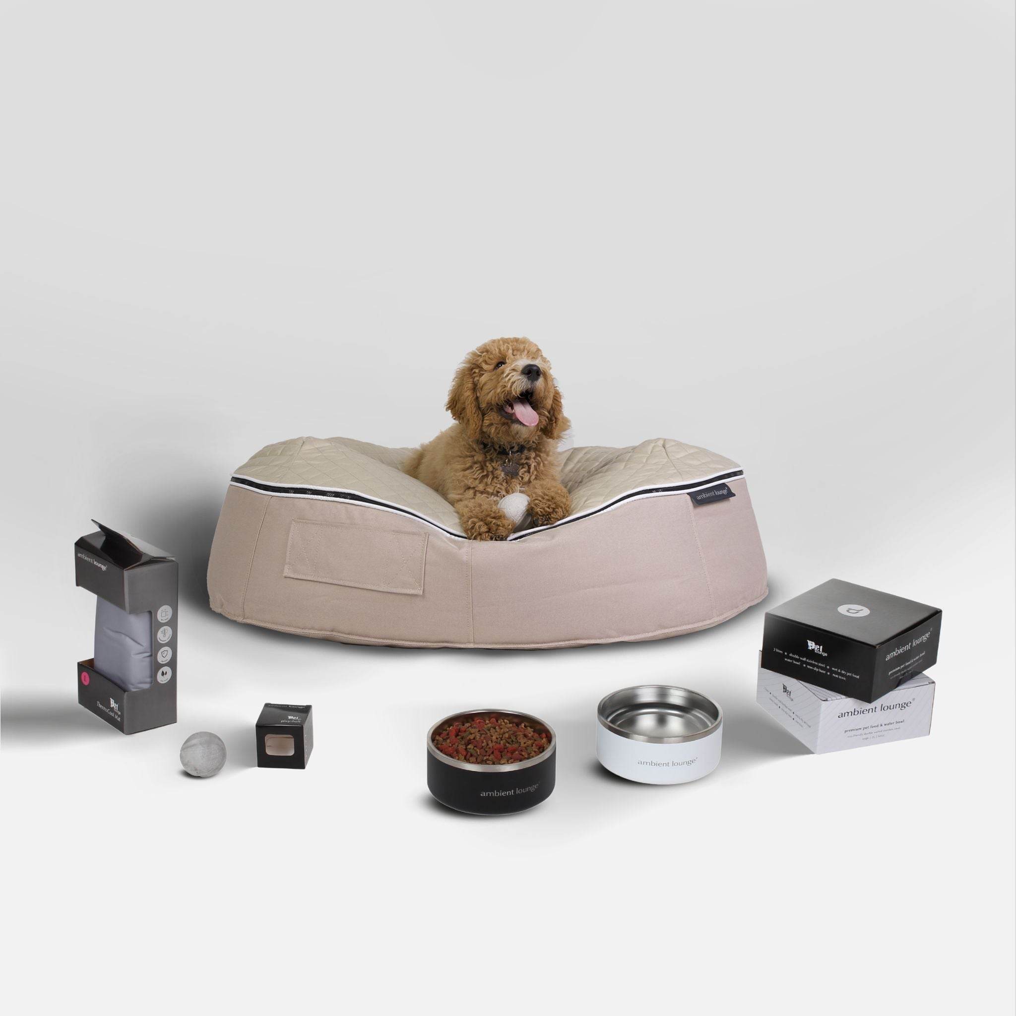 Large Dog Essentials Pack