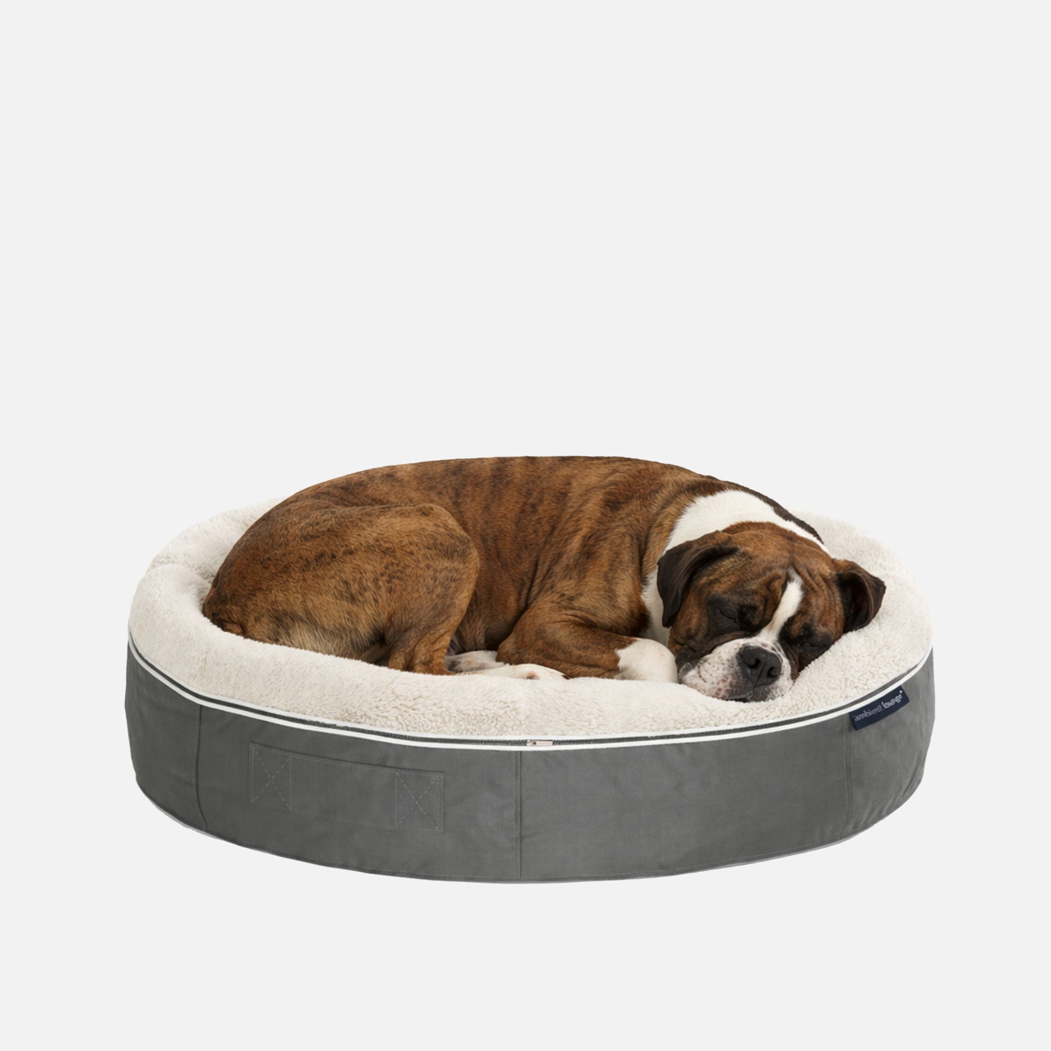 Large Rebound Foam Mattress Dog Bed - Interior/Outdoor