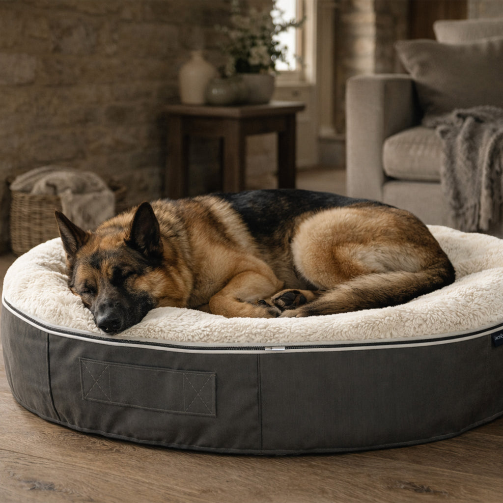 Large Rebound Foam Mattress Dog Bed - Interior/Outdoor
