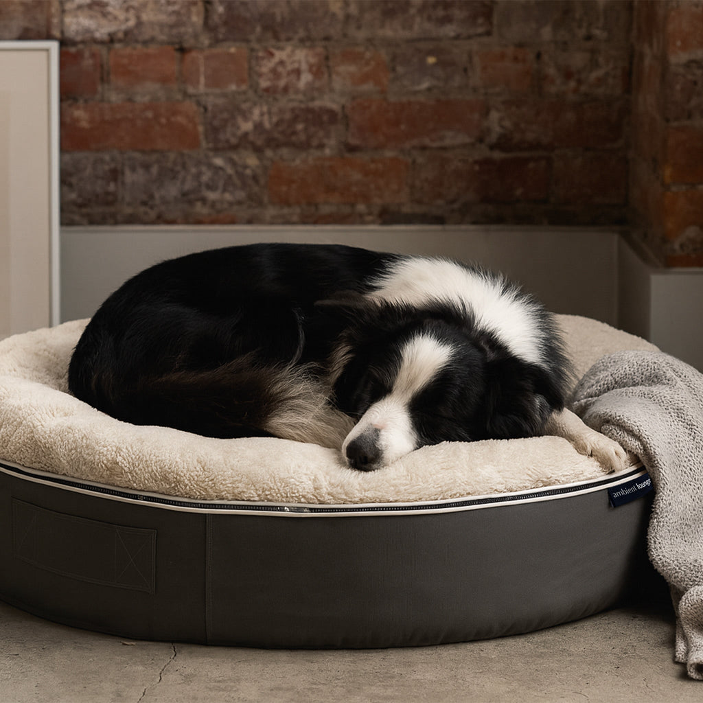 Large Rebound Foam Mattress Dog Bed - Interior/Outdoor