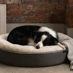 Large Rebound Foam Mattress Dog Bed - Interior/Outdoor