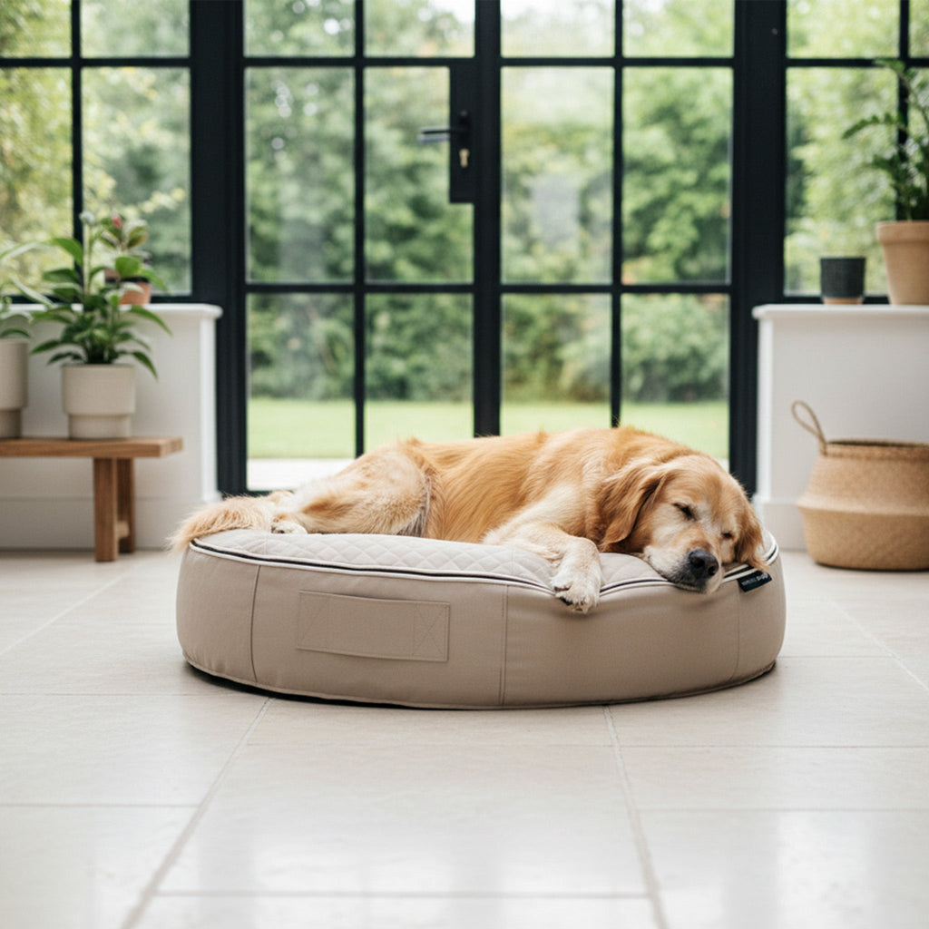 Large Rebound Foam Mattress Dog Bed - Interior/Outdoor