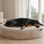 Large Rebound Foam Mattress Dog Bed - Interior/Outdoor