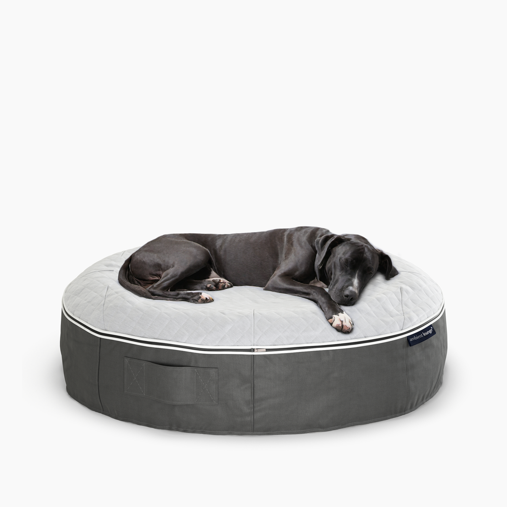 Large Rebound Foam Mattress Dog Bed - Interior/Outdoor