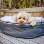 Medium Rebound Foam Mattress Dog Bed - Interior/Outdoor