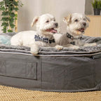 Medium Rebound Foam Mattress Dog Bed - Interior/Outdoor