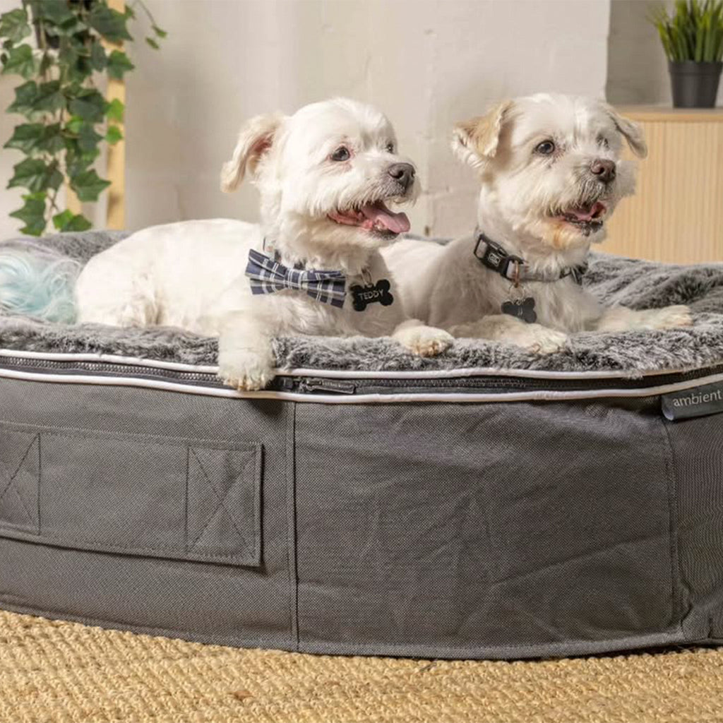 Medium Luxury Dog Bed - Interior/Outdoor