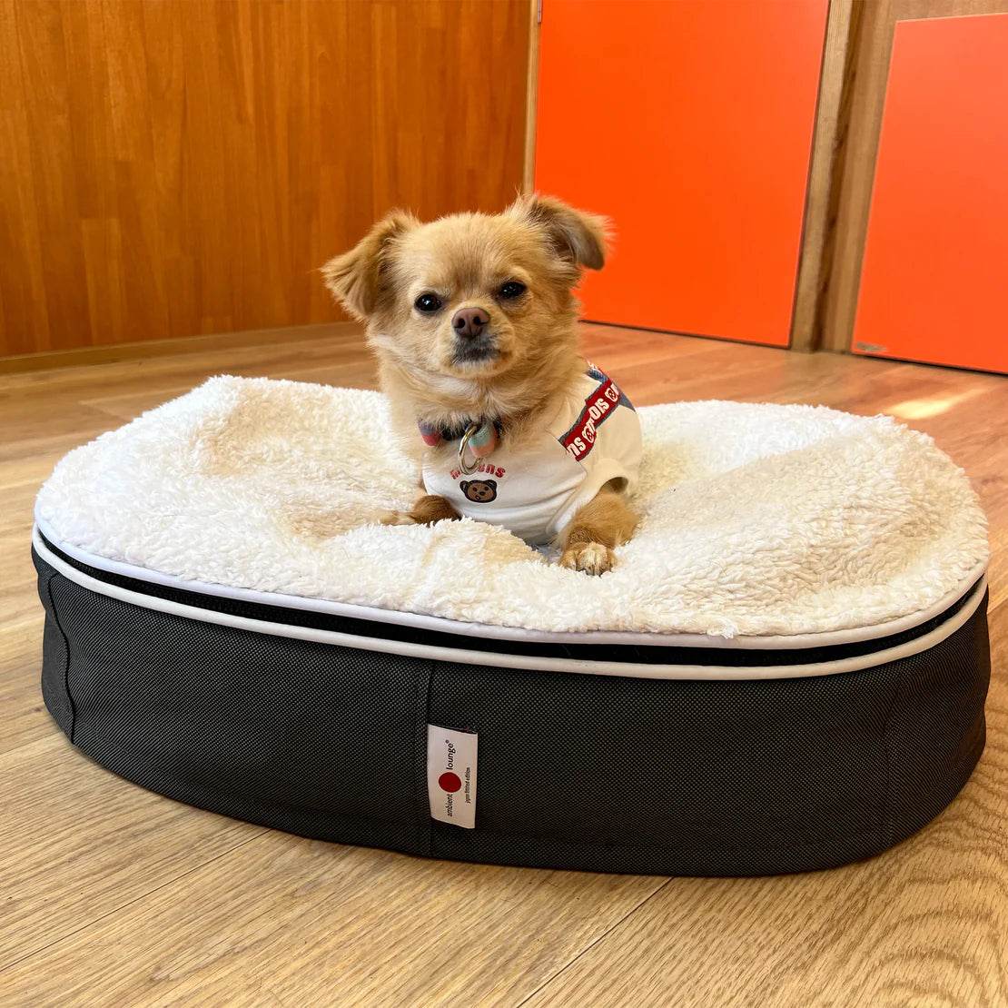 Small Rebound Foam Mattress Dog Bed - Interior/Outdoor