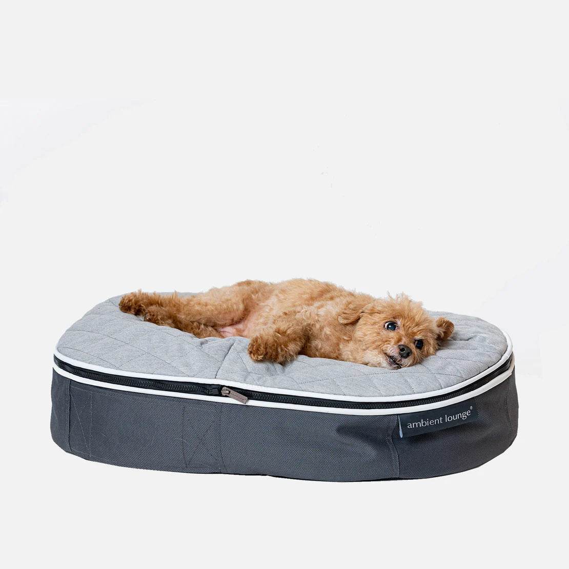 Small Rebound Foam Mattress Dog Bed - Interior/Outdoor