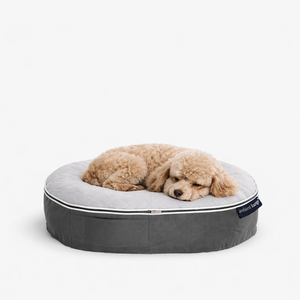 Small Rebound Foam Mattress Dog Bed - Interior/Outdoor