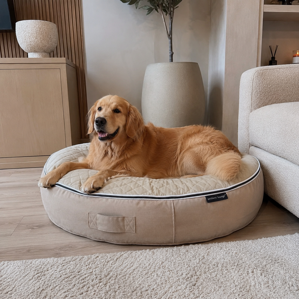 XXL Rebound Foam Mattress Dog Bed - Interior/Outdoor