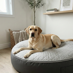 XXL Rebound Foam Mattress Dog Bed - Interior/Outdoor