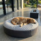 XXL Rebound Foam Mattress Dog Bed - Interior/Outdoor