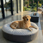 XXL Rebound Foam Mattress Dog Bed - Interior/Outdoor