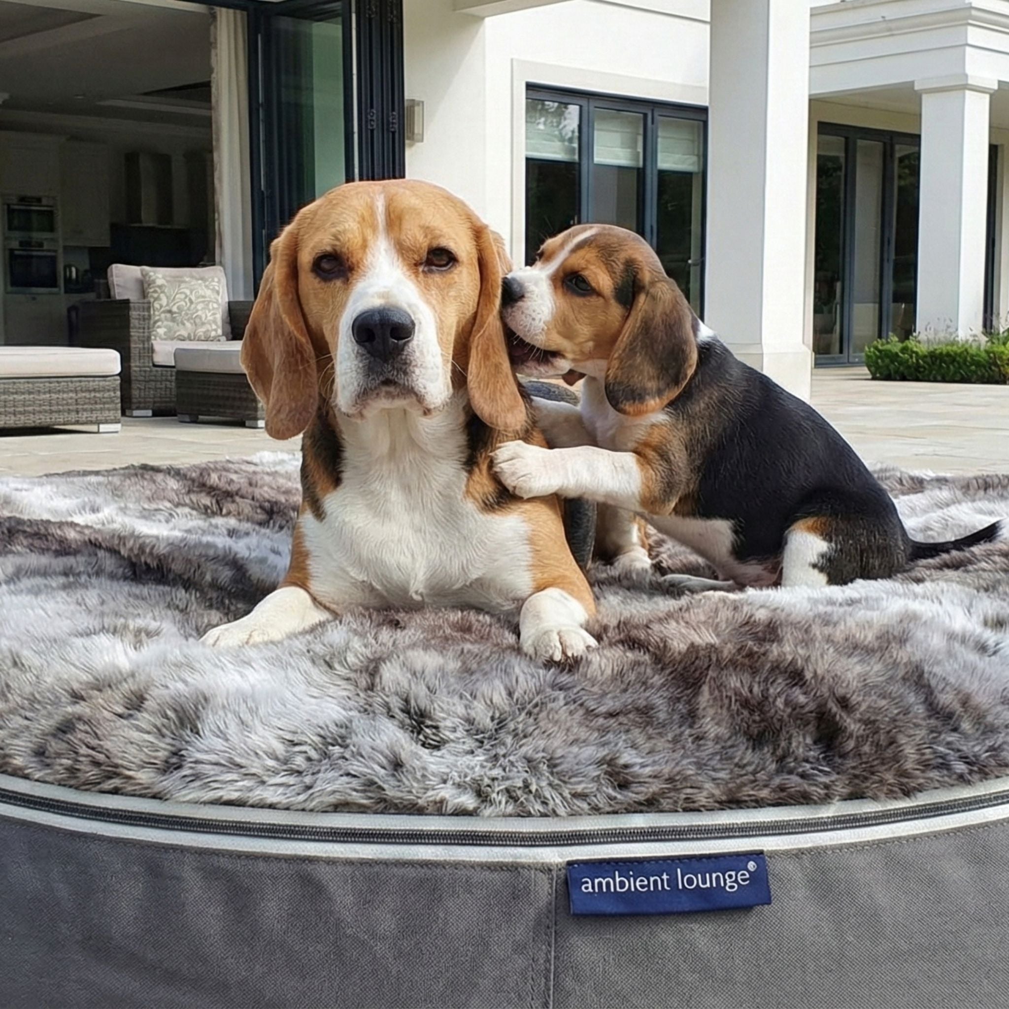 XXL Rebound Foam Mattress Dog Bed - Interior/Outdoor