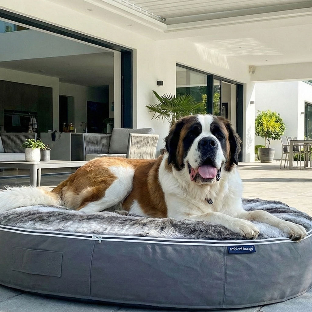 XXL Rebound Foam Mattress Dog Bed - Interior/Outdoor